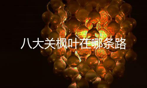 八大关枫哪条叶在路
